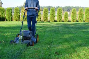 Professional Landscaping Contractor in Hyattsville, MD 