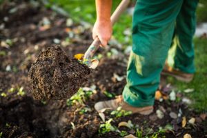 Trusted Landscaping Contractor in Hyattsville, MD 