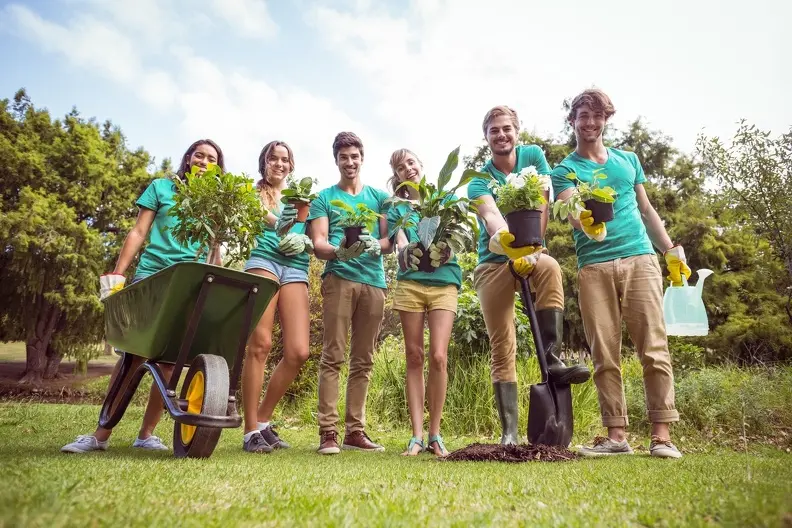 Common Tree Planting Mistakes And How To Avoid Them in Hyattsville MD